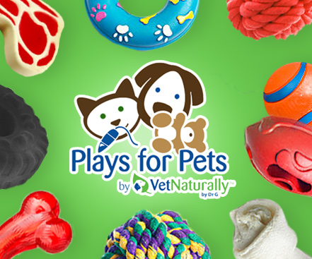 VetNaturally Launches Plays for Pets1 min read